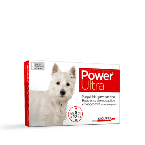 Power Perros Hasta 10 Kg