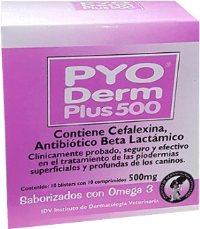 Pyo Derm Plus 500 Mgr Bl. X10C