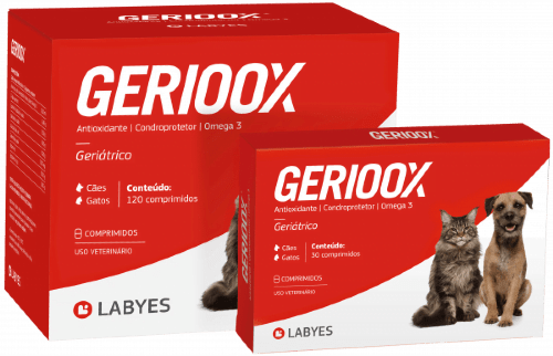 Gerioox X Blister 10 Compr.