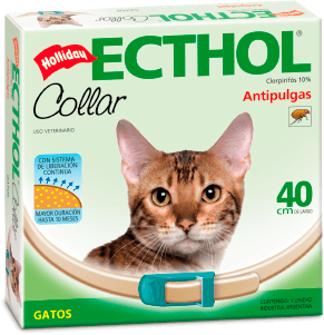 Enjuague Especial X 250Cc