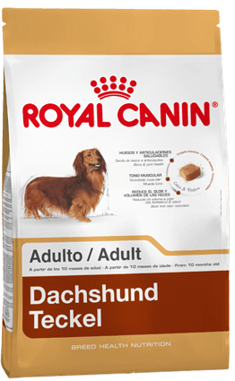 Dachshund Adulto X 3Kg