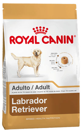 Labrador Retr Adulto X 12Kg