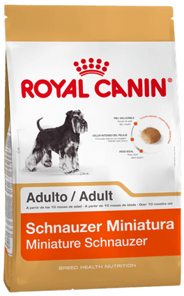Schnauzer Miniature Adulto 3Kg
