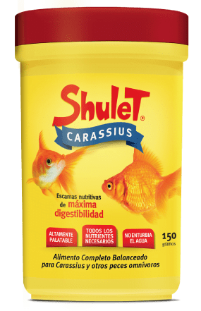 Shulet Agua Fria 40Gr