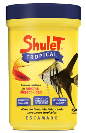 Shulet Tropical 20Gr