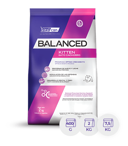 Bal Gato Kitten X 2 Kg.