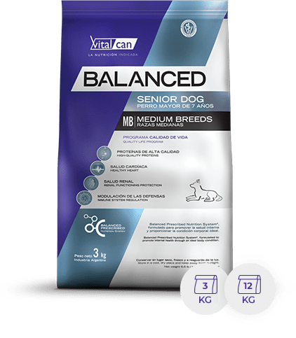Balanced Perros Senior Raza Medianos X12 K