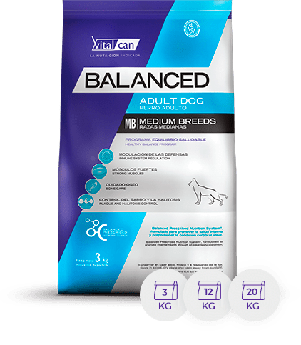 Balanced Perro Adulto R Medx 12K