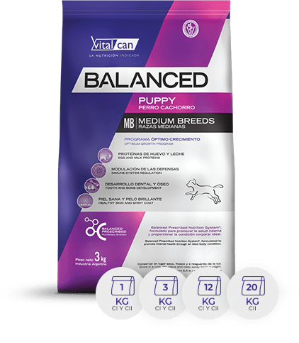 Balanced Perro Cachorros Raza Medianos X 12K