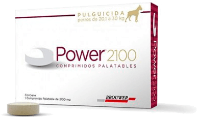 Power Comp 2100 Hasta 30 Kg