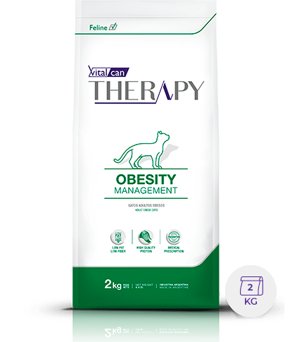 Therapy Feline Obesity X 2Kg