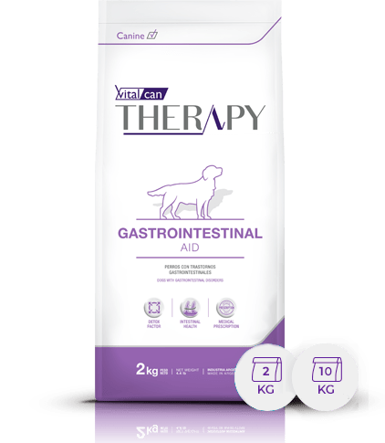Therapy Canine Gastroin  X10Kg