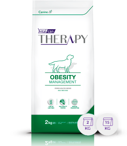 Therapy Canine Mobility  X15Kg