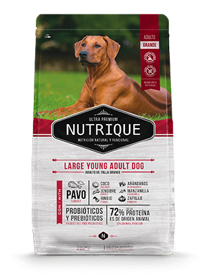 Nutrique Large Young Ad Dogx15
