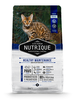 Nutrique Youn Ad Cat Health X2