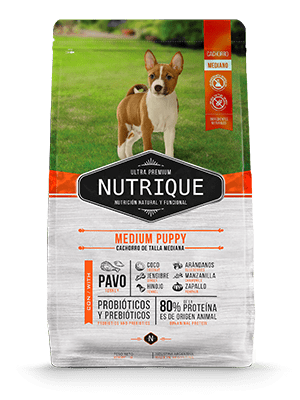 Nutrique Medium Puppy X 1Kg