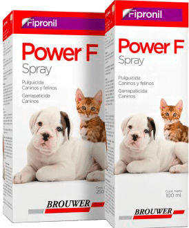 Power F Spray X 100Ml