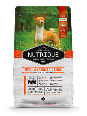 Nutrique Medium Young Adulto  X3