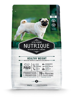 Nutrique Healthyweight Dog X15