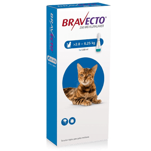 Bravecto Gato De 2.8 A 6.25Kg