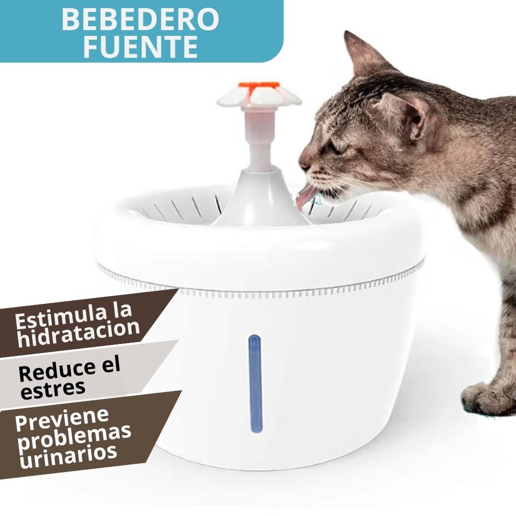Bebedero Fuente Gato