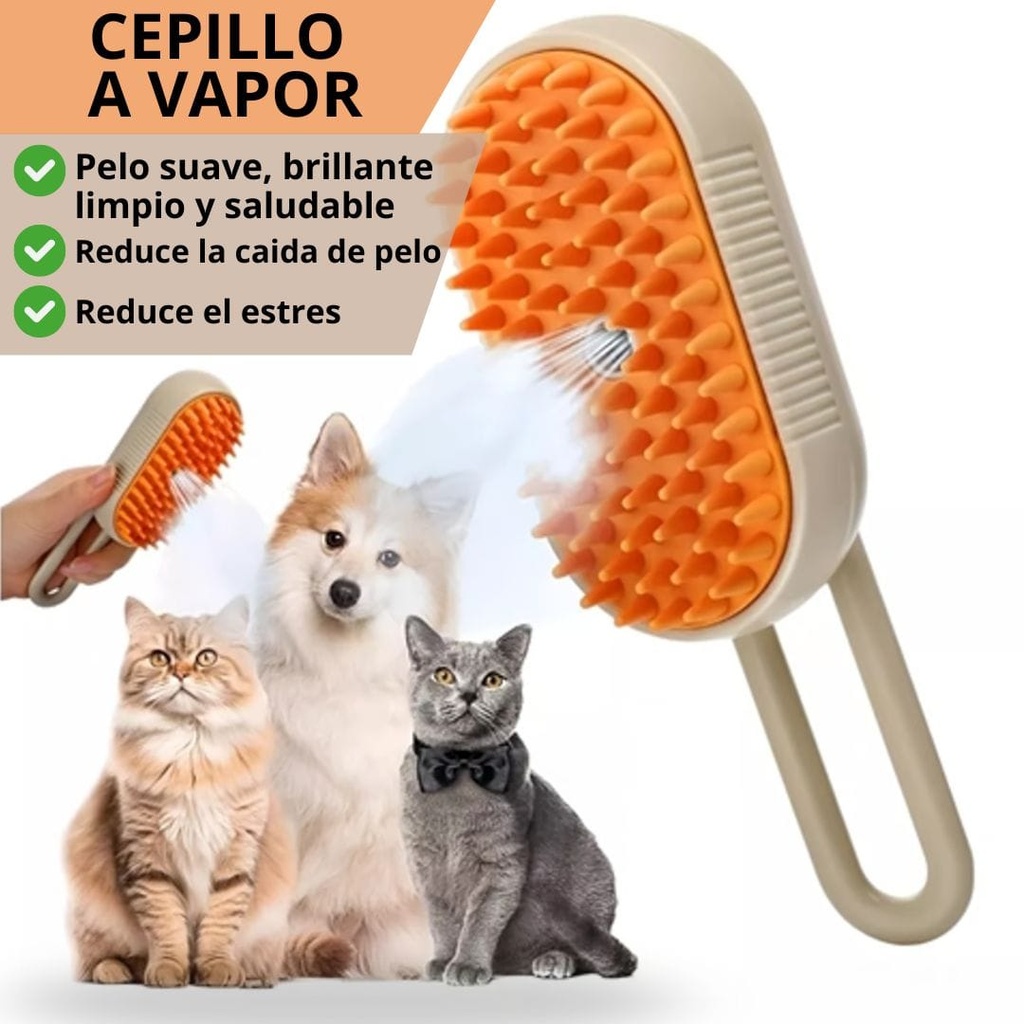 Cepillo Vapor Con Mango