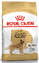 Golden Retriever Adulto X 12Kg